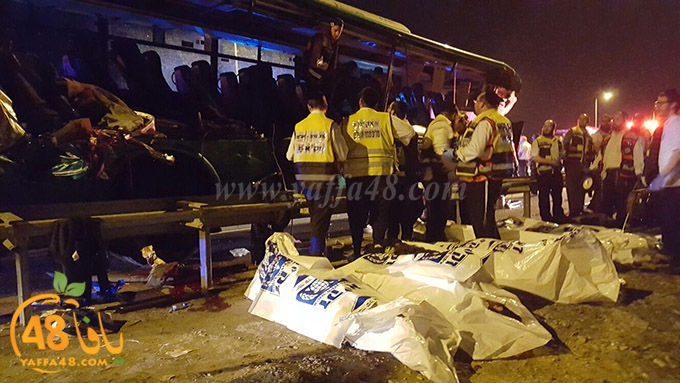 Accjs latroona (1).jpg